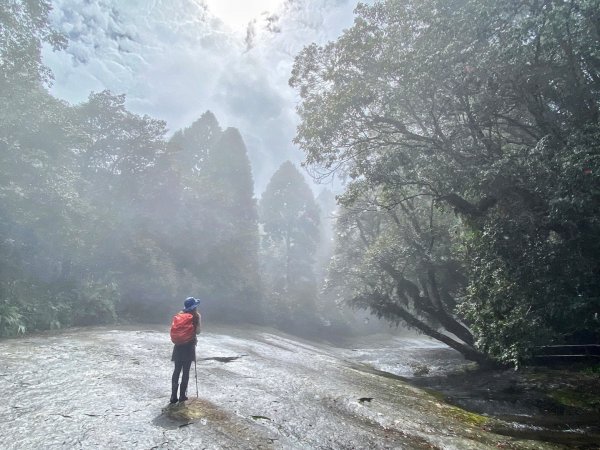 石夢谷 - 山、水、石、樹之美1142664