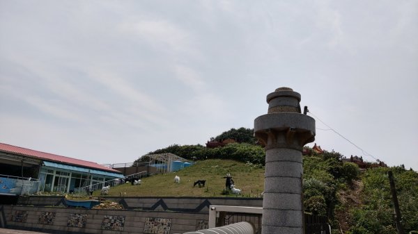 鼻頭角稜古步道921463