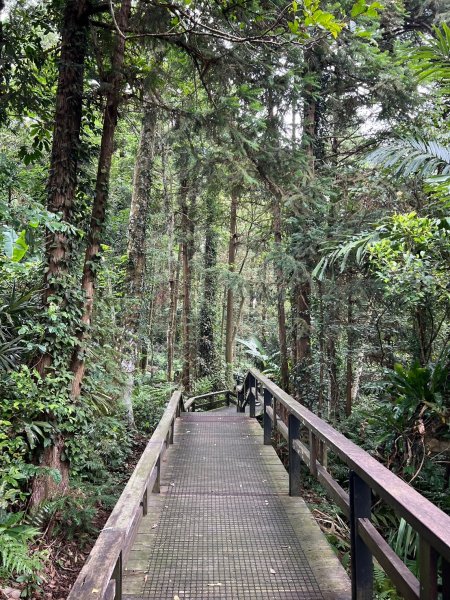 龍美步道 土匪山 公興森態園區2556352