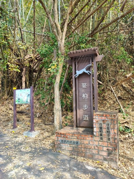 坑內坑森林步道-(彰化)臺灣百大必訪步道2447008