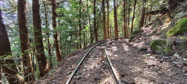 2026/03/18 加里山+大坪山 O型3020007