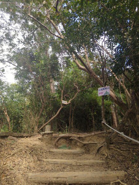 2024.12.21－旗尾山步道2677410