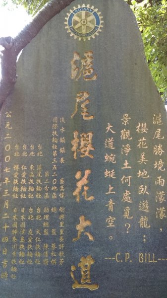 絢麗燦爛的滬尾櫻花大道、景致優美的天元宮874753