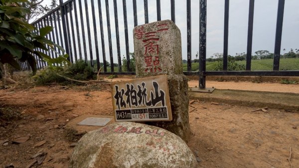 松柏坑山封面