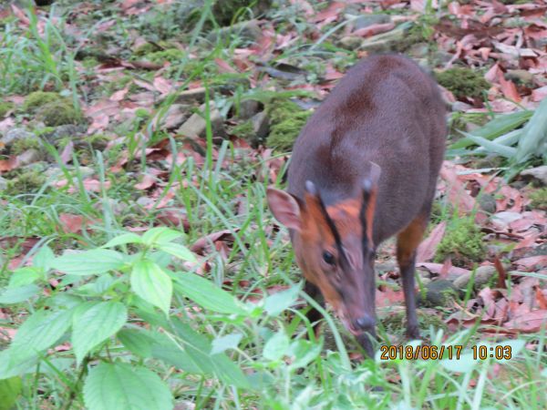 福山植物園353498