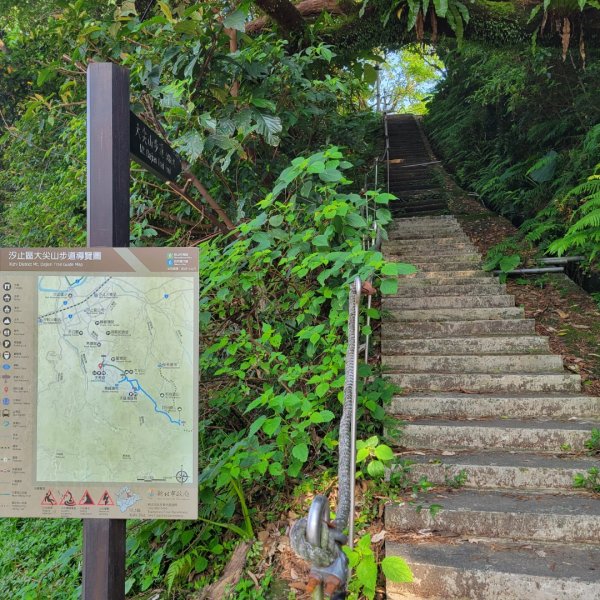 大尖山、四分尾山步道（小百岳）2132434