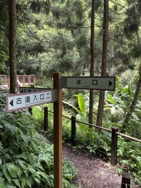 20250705-Ep.02白蘭溪古道-2025森遊竹縣皮皮獅探險隊2851388