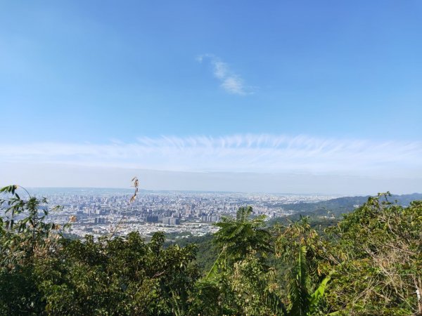 小百岳(43)-三汀山-20200123~【2020全家總動員~28分之03】1716073