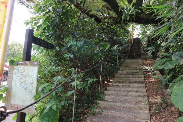 小百岳NO12  汐止大尖山 縱走海拔641公尺 四分子尾山2229054