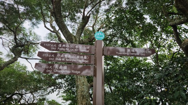 圓通寺烘爐地登山步道大O走3007110