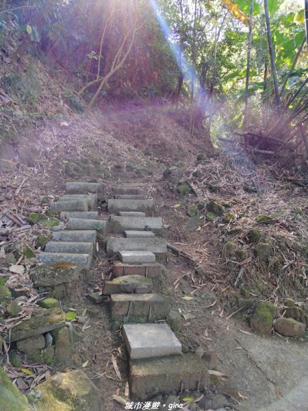 台中~原始悠靜山林~太平淨德寺後山步道1300295