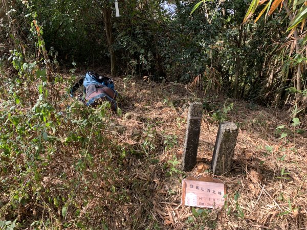 20250315屏東頭崙山-頭崙山西北峰2737222