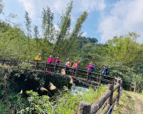 蛇來運轉-蛇子行古道-三爪坑山-蛇子崙山O2706695