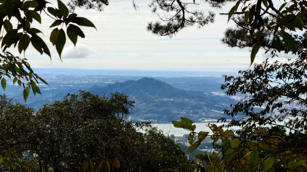 20260125 陽明山前後山健行(無極天元宮~山仔頂步道.向天池.向天山.面天山.二子坪)2998007