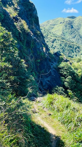 無耳茶壺山步道2878431
