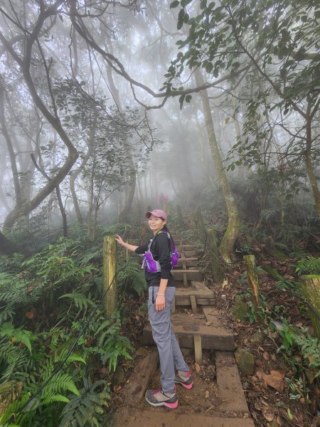 台南關子嶺大凍山 雲萊山莊 水火同源 碧雲寺1877082