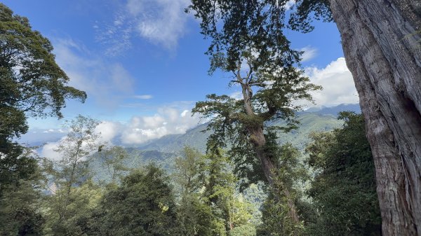 鳶嘴山+稍來神木 202508302873906