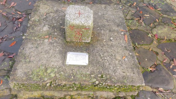 雲嘉九連峰1438922