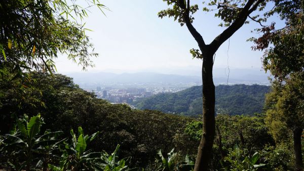 大棟山之縱302473