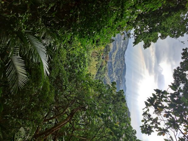 20240201故宮-狗殷勤古道-平菁街賞櫻-溪山百年水圳步道-平菁步道2458445
