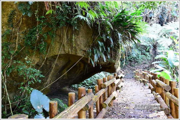 嘉義阿里山鄉里佳巨石板步道602002