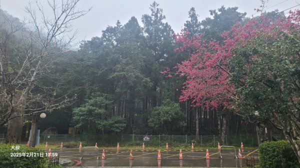 2025-0221 明池步道2718230