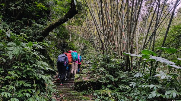 金牌縱走202502082709492