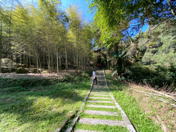 鹿谷大崙尾山、和雅挑竹古道7號、和雅挑竹古道6號O型走2425937