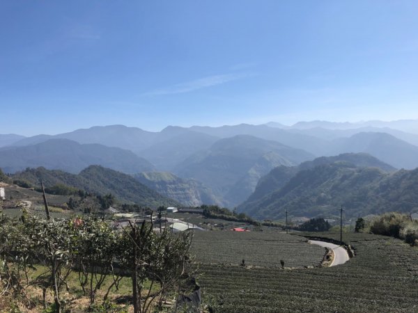 1100208二延平步道1270177