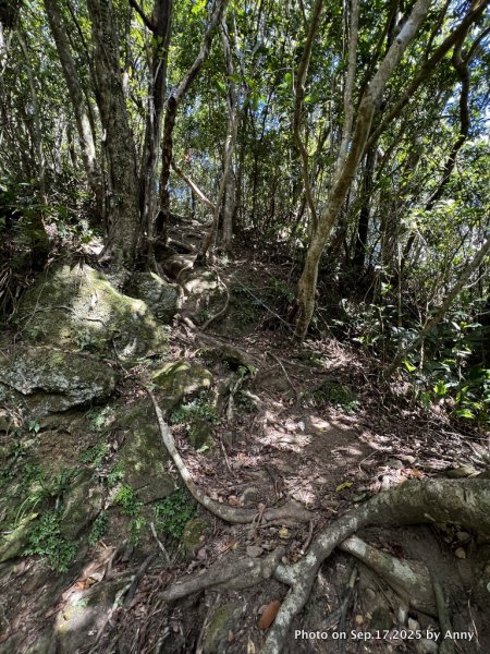 微笑山線【五分山系】菁桐煤礦段＋平溪小黃山段2906710