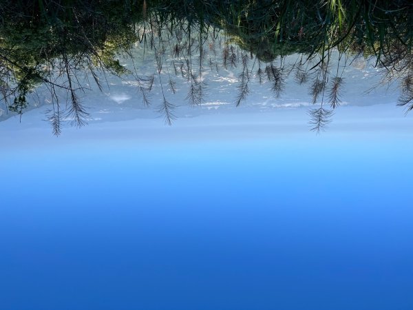 20251115_刣牛湖山（台南小百岳）2941506