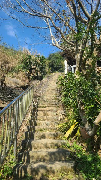 2025-0130溪和宮-大崎頭步道-鵝尾山-平溪步道-鵝尾山水田-42巷-溪山百年古圳-平菁步道2701868