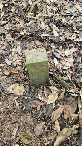 20250421聖人崙-百年古圳-大平尾山-平溪步道2783619