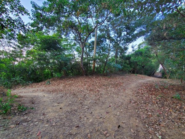 屏東笠頂山737425