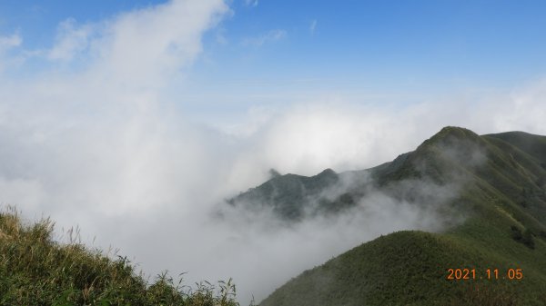 秋高氣爽芒花季 - 陽明山再見雲海1503910