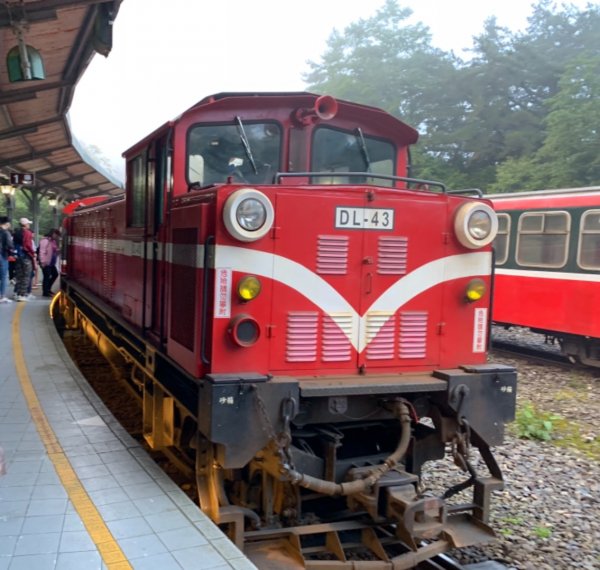 阿里山賓館~祝山小火車~小笠原觀日出661526