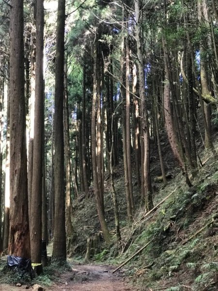 石山引水道縱走兒玉山499034