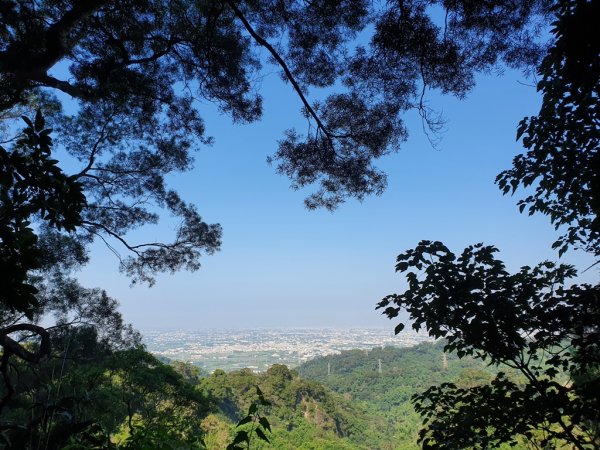 【彰化社頭】十八灣古道&中央嶺造林步道1500536