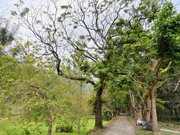 林田山林業文化園區2728234