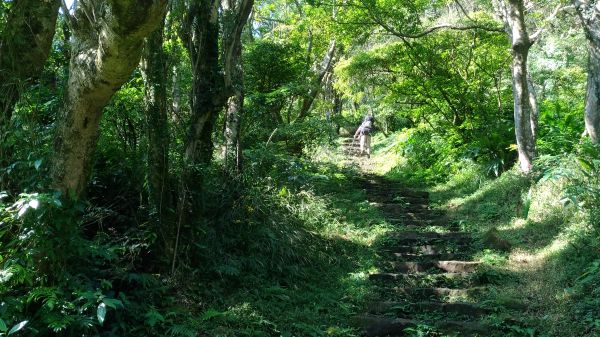 面天山層層雲海美極了!209209