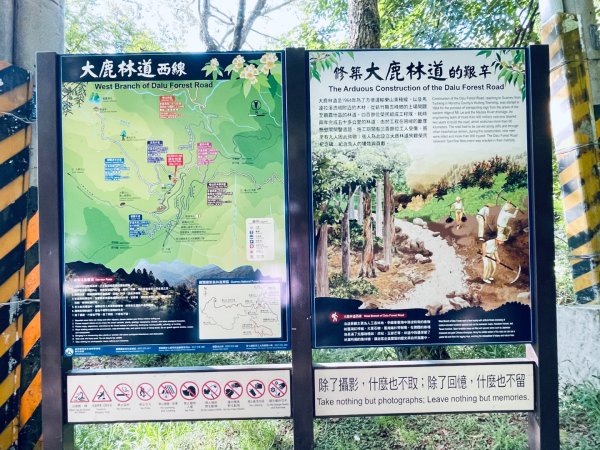 20260531觀霧榛山登山步道（榛山北峰+主峰+環形步道）3071462