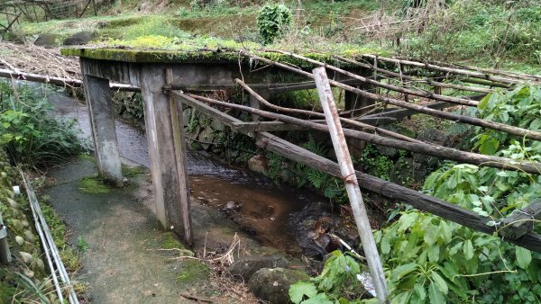 2020.04.04石門茶山步道之旅990925