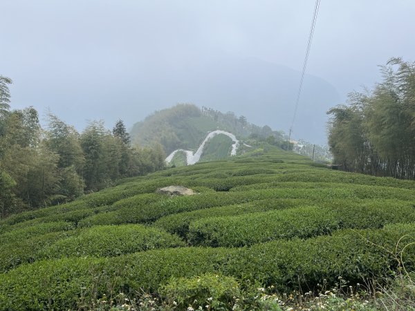 2023_0429_挑筍古道2138262