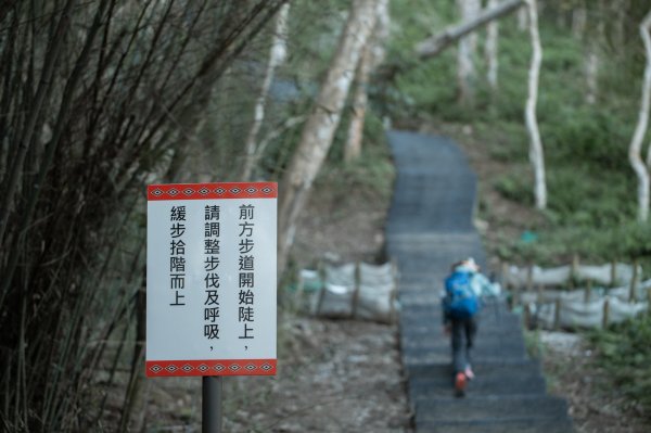 枕頭山古砲台歷史古道O型（含薑母島）2948453