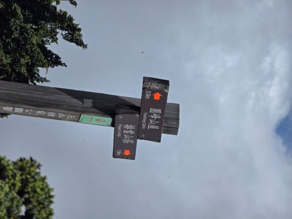 南玉山之行2822760