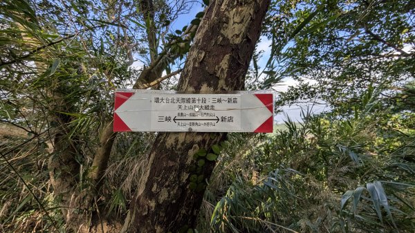 114.11.23龍泉山寺-成福山-十八羅漢岩-石門內尖山-石門內尖山東峰之旅2943735