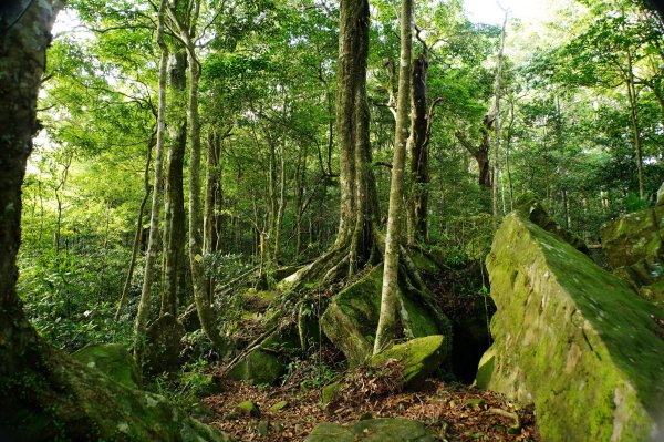 新竹 尖石 大混山、牛欄坑山、李崠山3058558