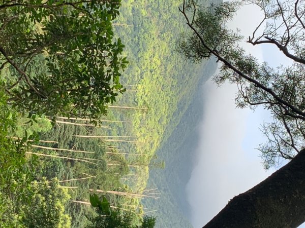 三角崙山、聖母登山步道1638342