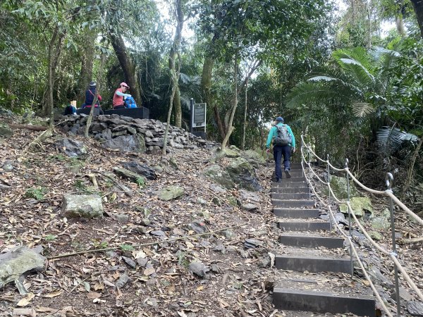《雪山坑登山步道｜巨人之手森林秘境 Xueshankeng Hiking Trail & Giant2971072