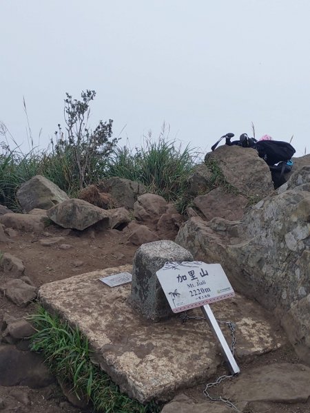 南庄騰龍山杜鵑嶺加里山1675894